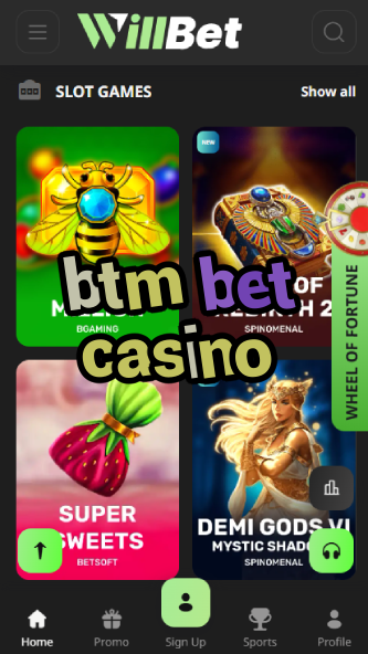 BTM Bet Casino - Best Betting Market Casino-casinodogs.ydblkf.net